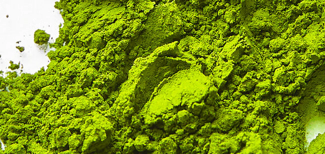 Combien de caféine contient le matcha — comparé au café, au cola et aux boissons énergisantes
