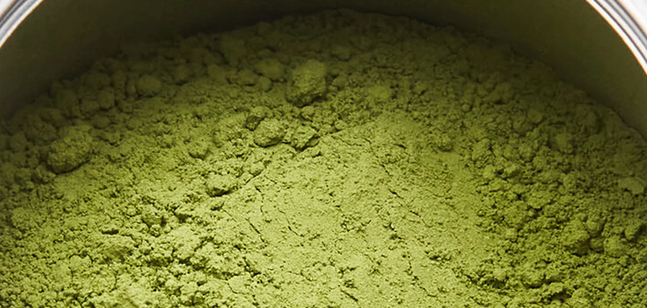 Matcha Wirkung — was die Forschung wirklich zeigt (und was nicht)